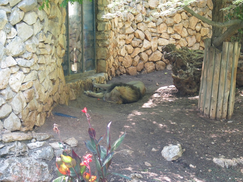 Zoo 033.jpg