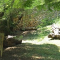 Zoo 034