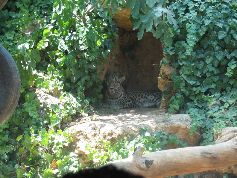 Zoo 039.jpg