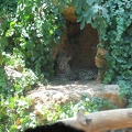 Zoo 039