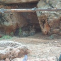 Zoo 040