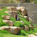 Zoo 041