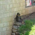 Zoo 044.jpg