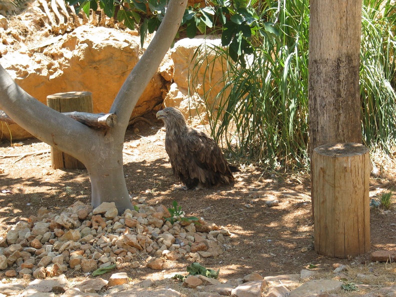 Zoo 049.jpg