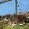 Zoo 050.jpg