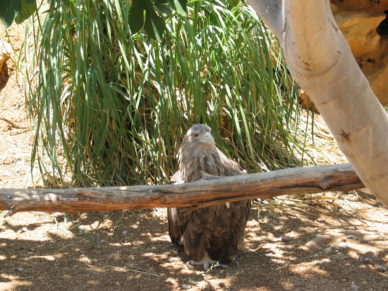 Zoo 051.jpg