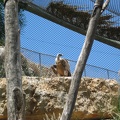 Zoo 053.jpg