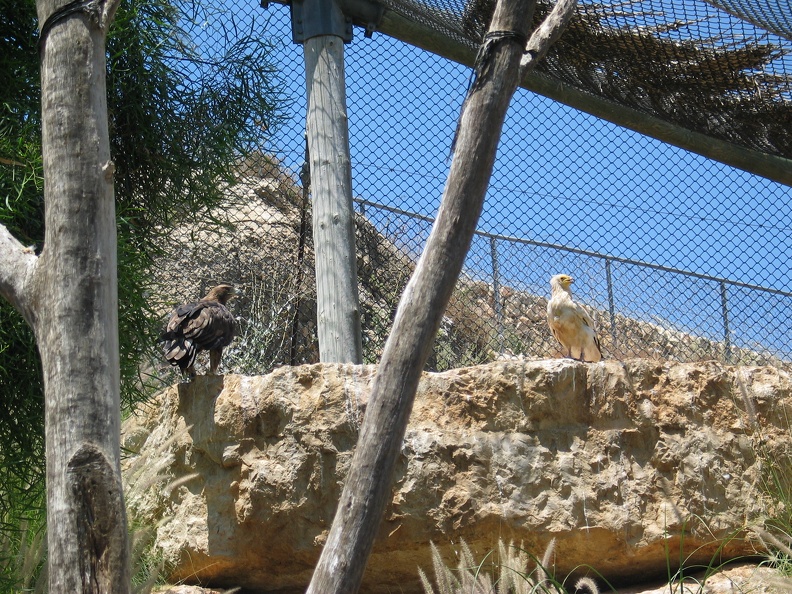 Zoo 054.jpg