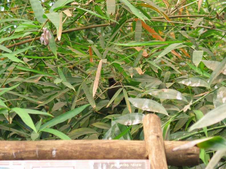 Zoo 058.jpg