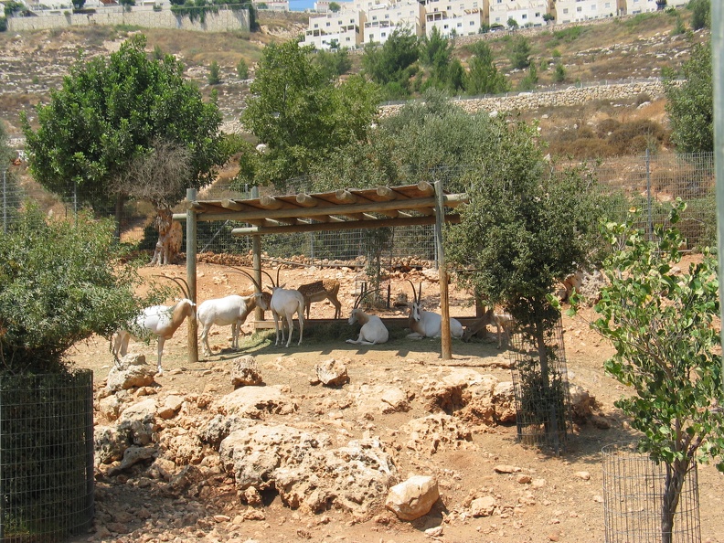 Zoo 073.jpg