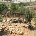 Zoo 073.jpg