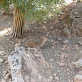 Zoo 075.jpg