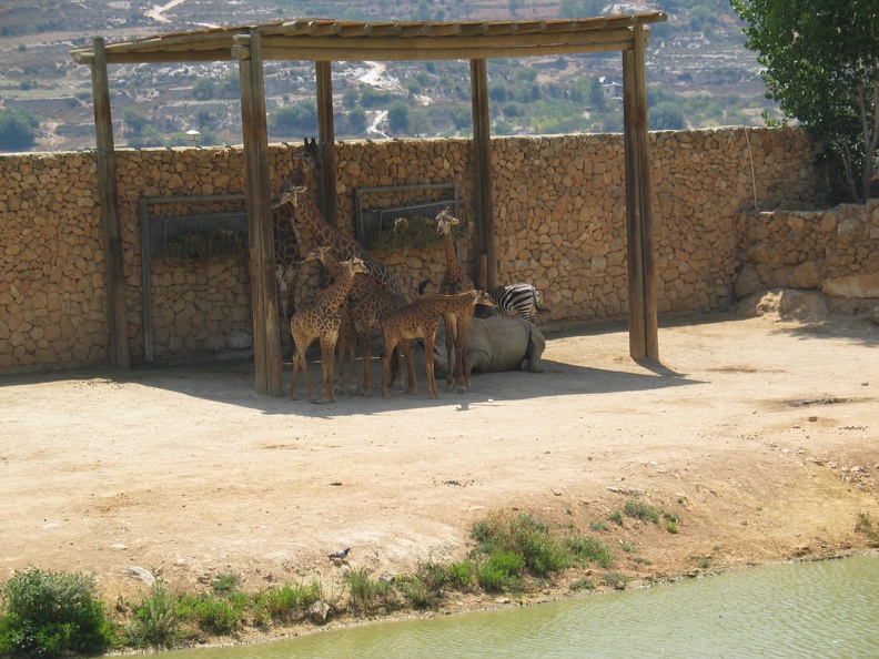 Zoo 081.jpg