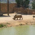 Zoo 082.jpg