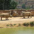 Zoo 083.jpg