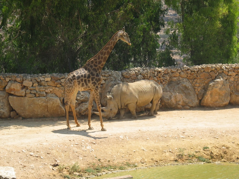 Zoo 084.jpg