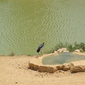 Zoo 086.jpg