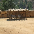 Zoo 088.jpg