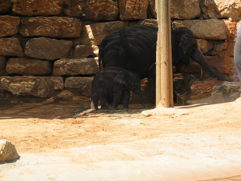 Zoo 090.jpg