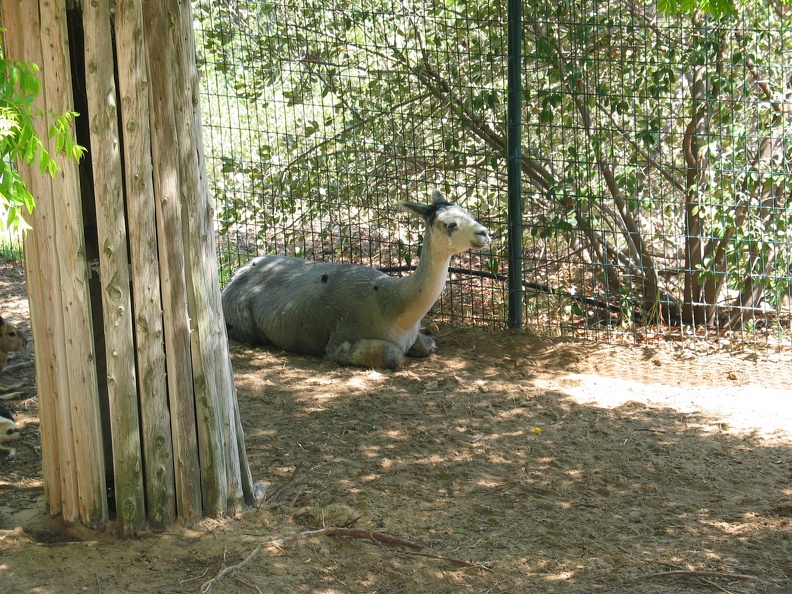 Zoo 095.jpg