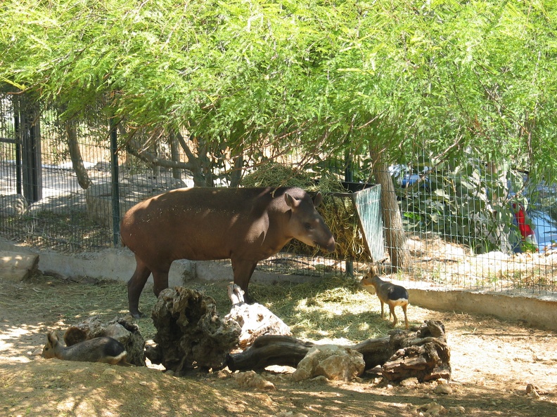 Zoo 096.jpg