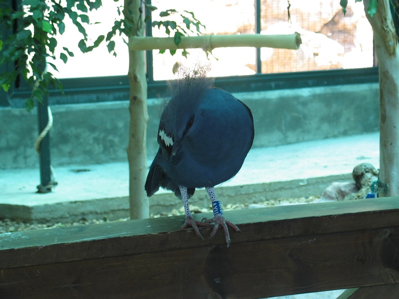 Zoo 098.jpg