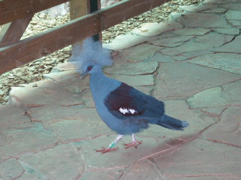 Zoo 099.jpg
