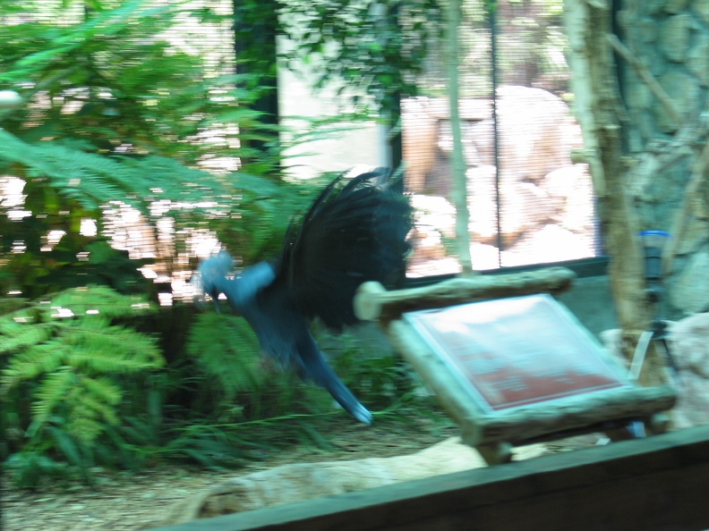 Zoo 100.jpg