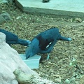 Zoo 101.jpg