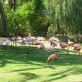 Zoo 109.jpg
