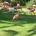Zoo 110.jpg