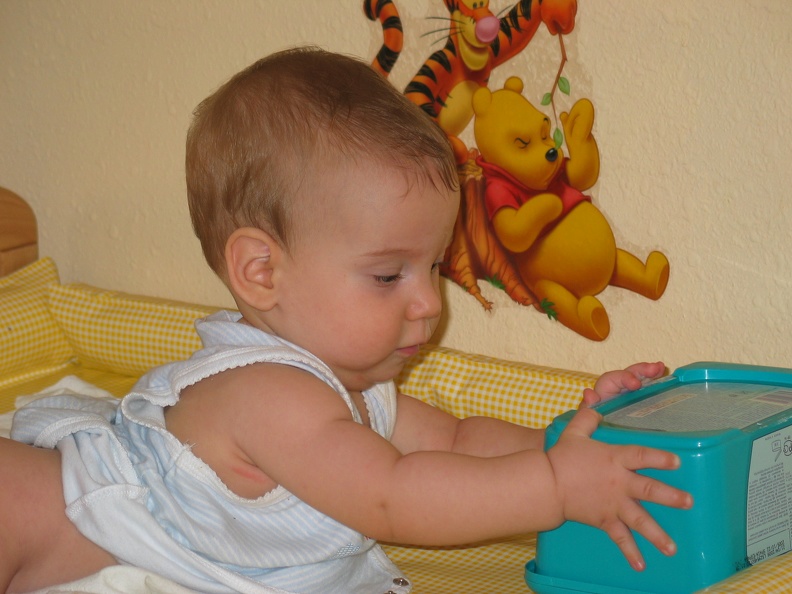 Meir 013