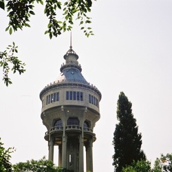 День 7.