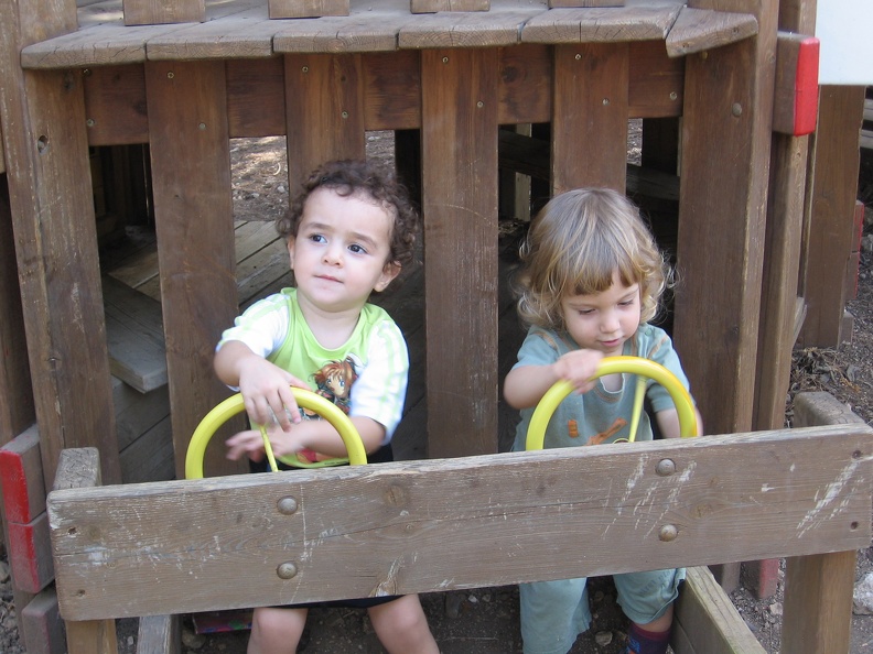 Monkeys 049
