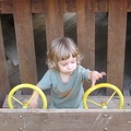 Monkeys 052