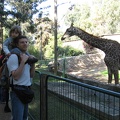 Safari 031