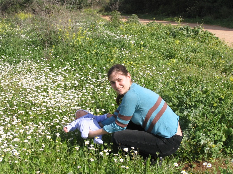 Upper Galilee 004