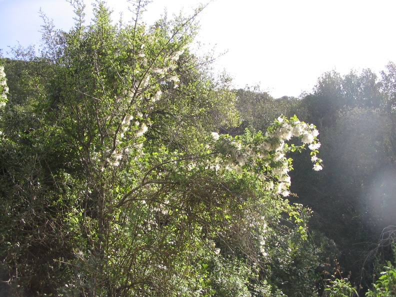 Upper Galilee 010