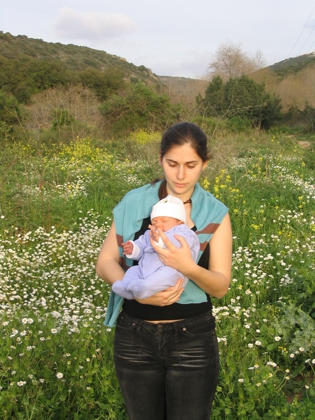 Upper Galilee 022