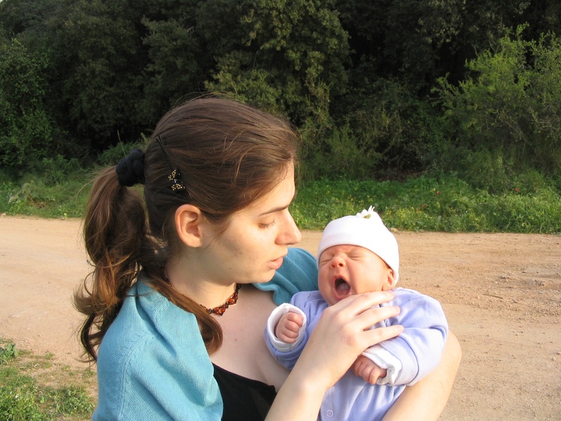 Upper Galilee 024