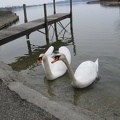 Austria 006