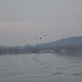 Austria 011