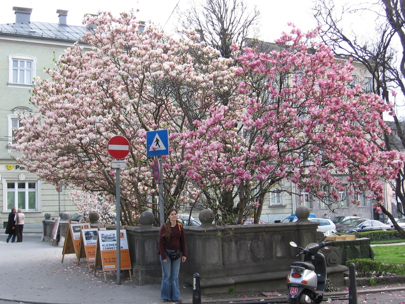 Austria 046