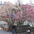 Austria 046