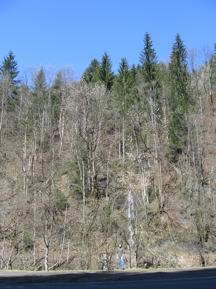 Austria 079