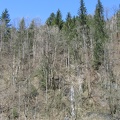 Austria 079