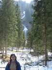 Austria 371