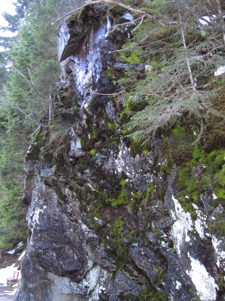 Austria 408