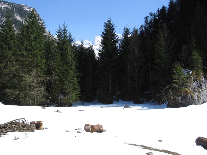 Austria 491