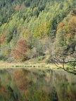 Germany 018